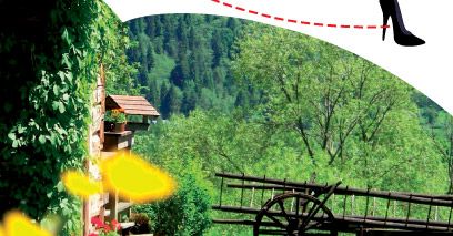 "Miastowi. Slow food i aronia losu" Anny Kamińskiej już w księgarniach