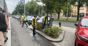 Odbywa się sadzenie róż przy Alei Niepodległości w Szczecinie. Co roku jest ten sam problem