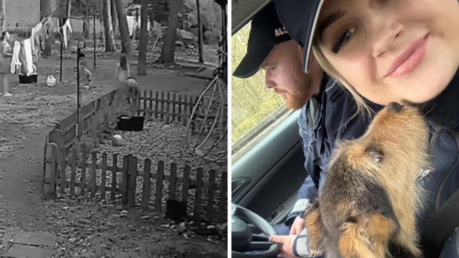 Policjanci odebrali rodzinie psa