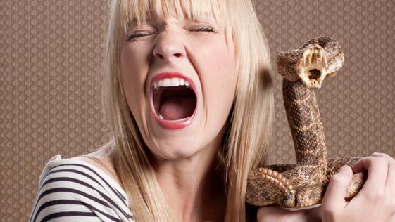 Quo vadis nauko? Kobiety tuż przed okresem szybciej rozpoznają węże 1