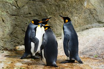 Linux, GRUB i UKI: kiedy pożegnamy się z bootloaderem?