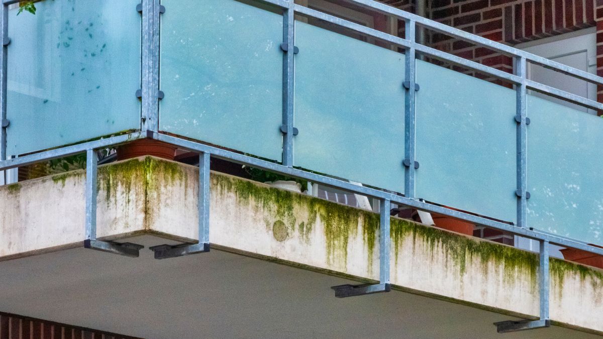 Balkon z zielonym nalotem