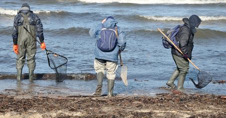 Eldorado nad Bałtykiem. Morze wyrzuciło "pieniądze" na plażę
