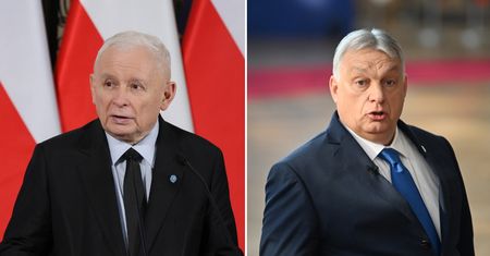 Kaczyński "chętny" na spotkanie z Orbanem. Rzecznik PiS potwierdza