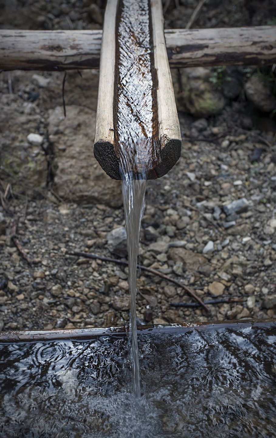 Źródełko w Tatrach