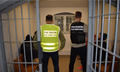 "Zaczęliśmy wchodzić na legitymację". SG wykazuje wzrost zatrzymań nielegalnych pracowników