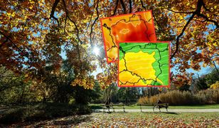 Zaskakujący zwrot w pogodzie. Niemal 20 stopni na plusie