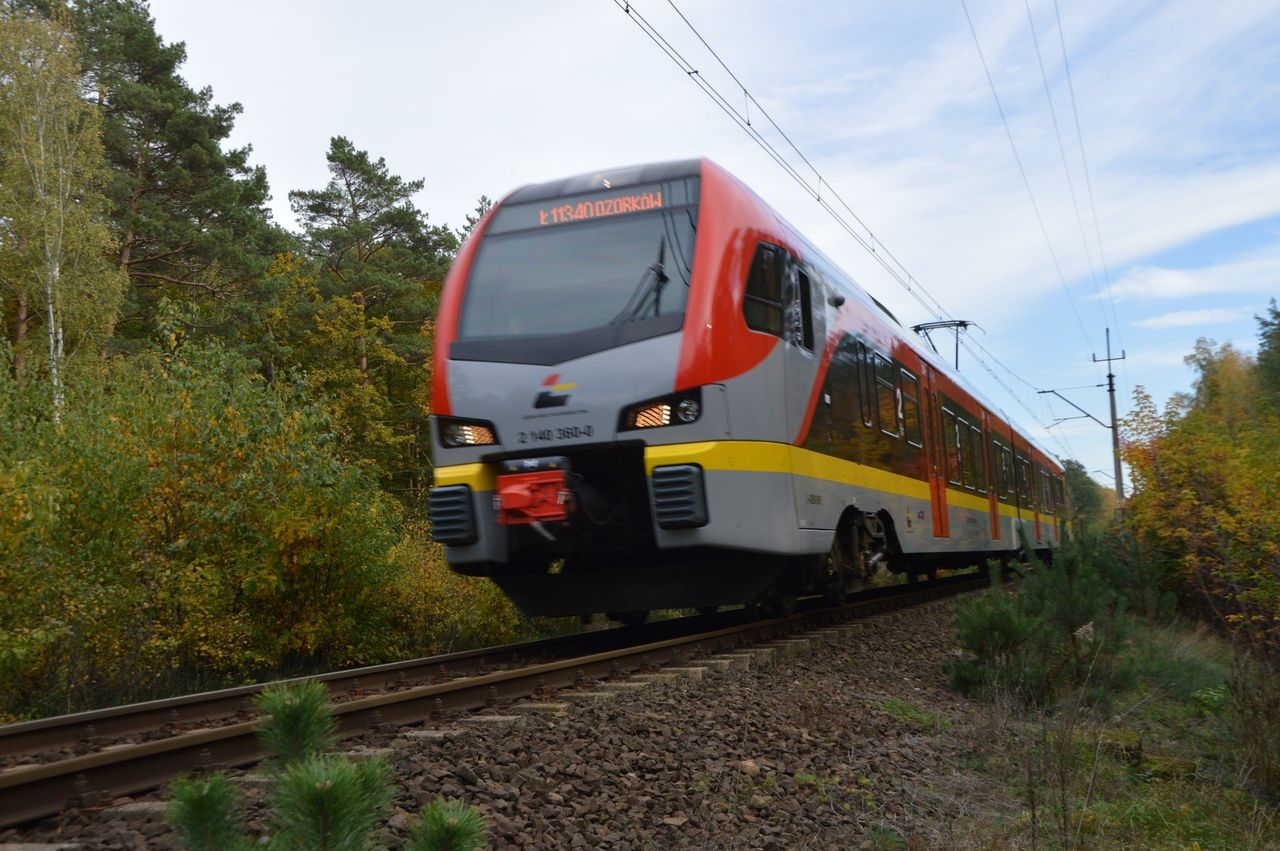Łódź: Śmierć na torach. Po potrąceniu pociągi jadą opóźnione
