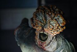 Ludzkość kontra grzyby. Serial "The Last of Us" zwrócił uwagę na poważny problem