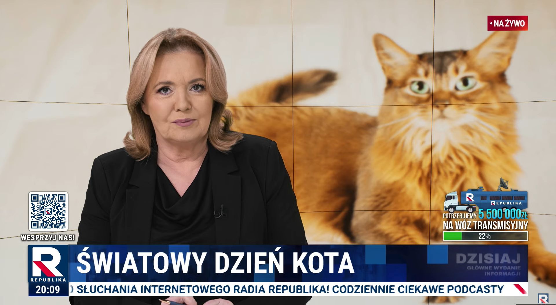 Dzień kota w Telewizji Republika