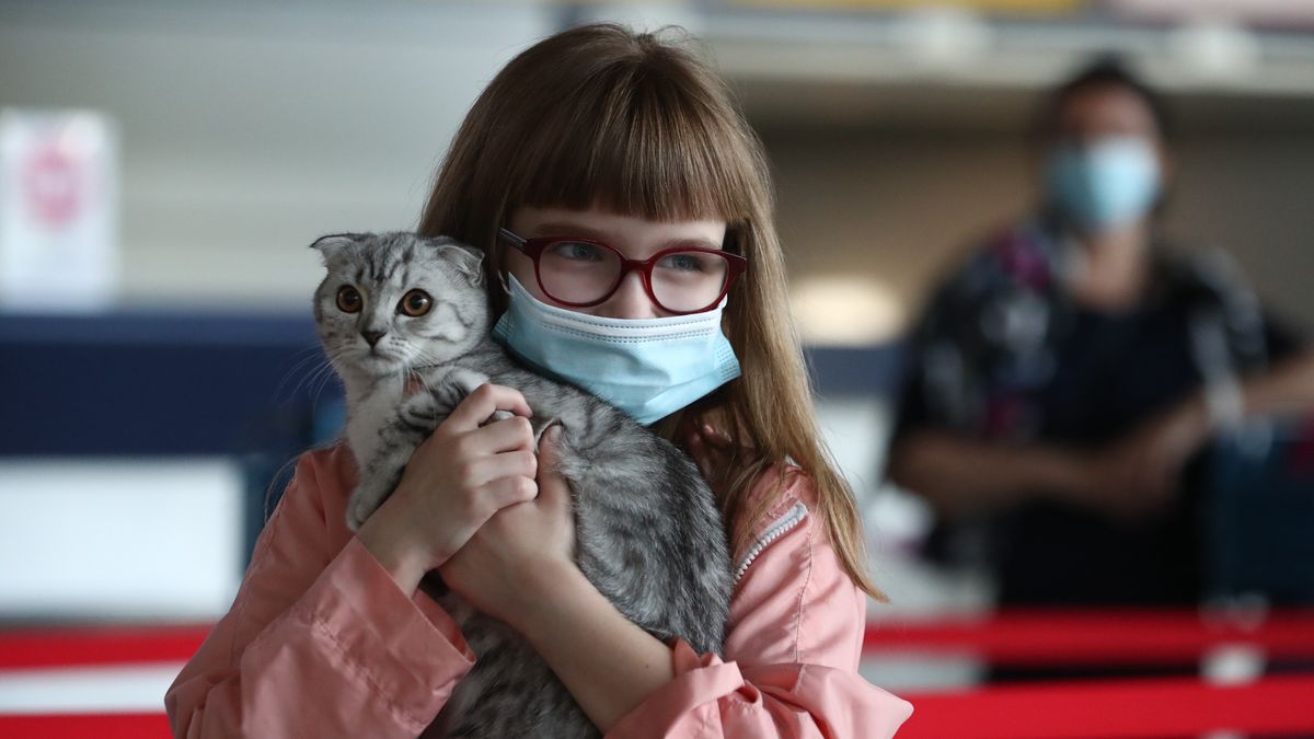 Koty także mogą chorować na koronawirusa