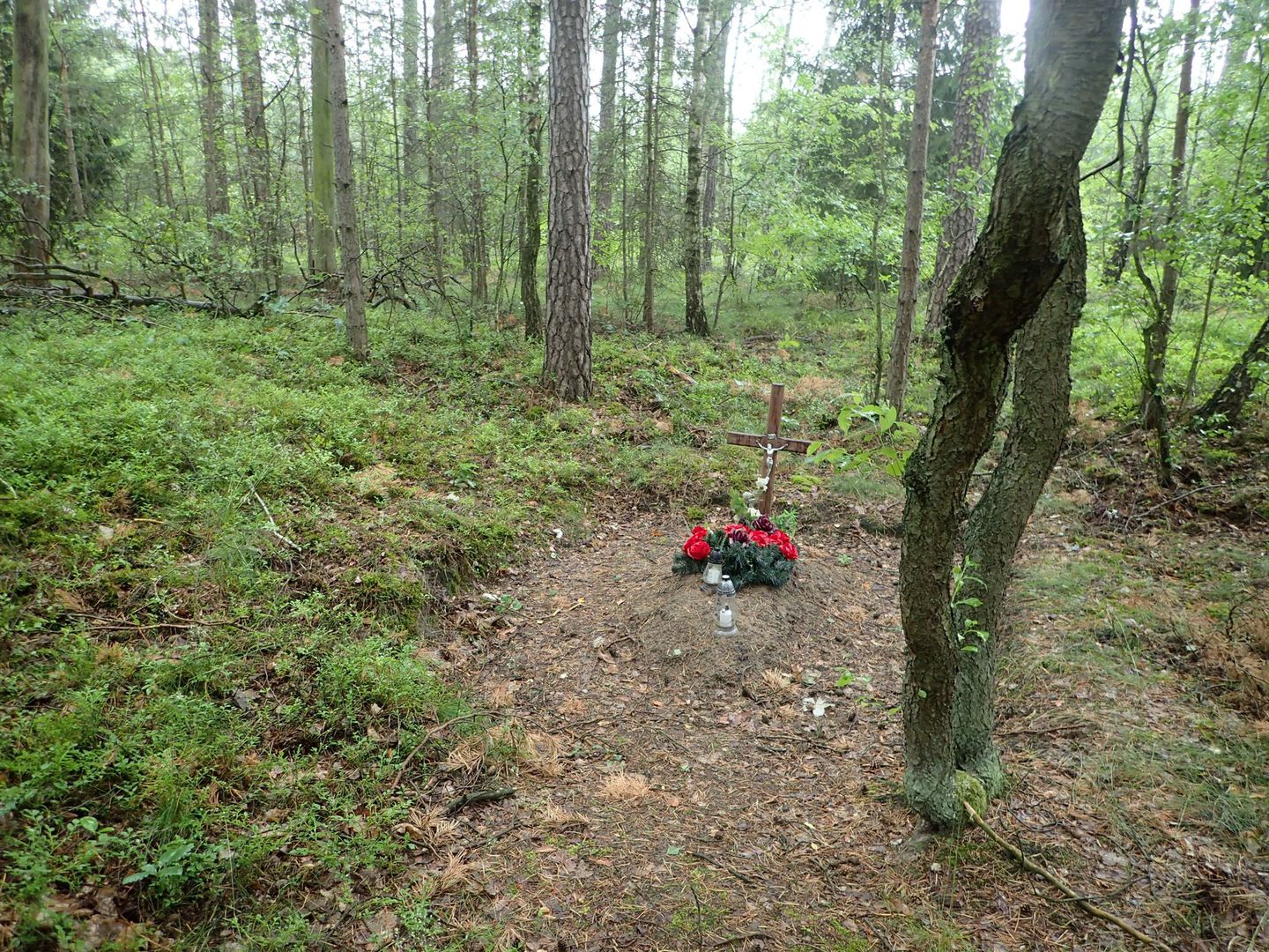 Tajemnicza mogiła w pobliżu Margońskiej Wsi. Odkopano ofiarę egzekucji