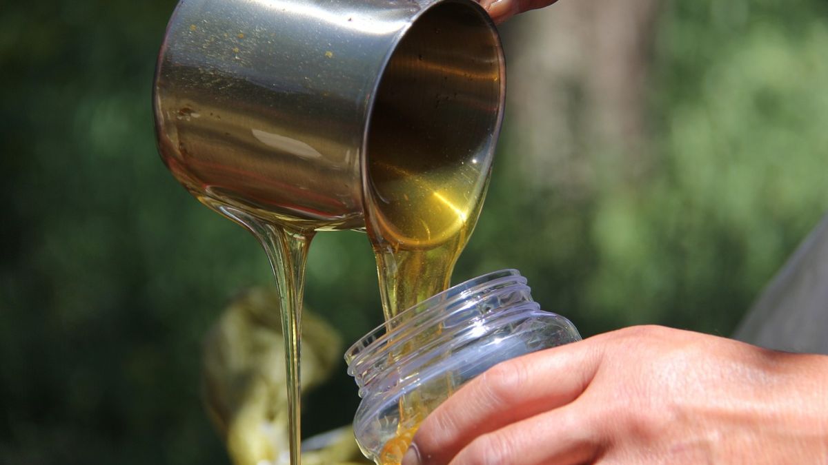 Miód fasolowy to mało popularny produkt