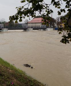 Otwarto polder Oława-Lipki. Policja wzywa do natychmiastowej ewakuacji