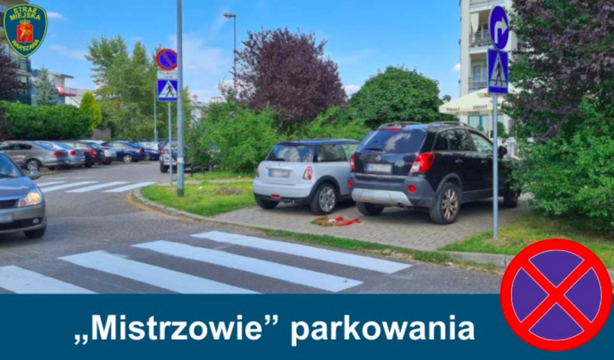 Warszawa. "Mistrzowska" galeria. Strażnicy zdecydowali się kolekcjonować przypadki absurdalnego parkowania i dzielić się fotografiami (Stołeczna Straż Miejska)