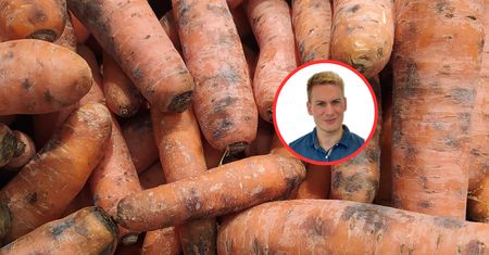 Czarne plamy na marchwi? Ekspert mówi, co oznaczają