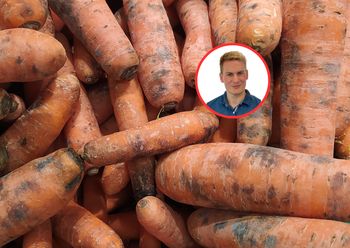 Czarne plamy na marchwi? Ekspert mówi, co oznaczają