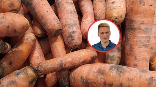 Czarne plamy na marchwi? Ekspert mówi, co oznaczają