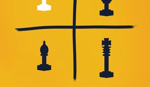 Na własne ryzyko. Ukryte asymetrie w codziennym życiu /OP. MKK/