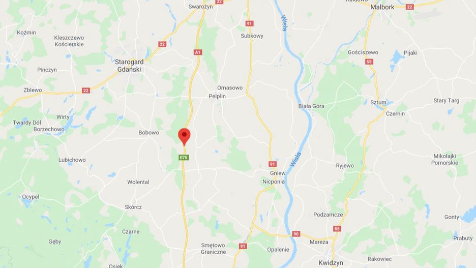 Wypadek na A1. Ranni po zderzeniu dwóch samochodów z łosiem