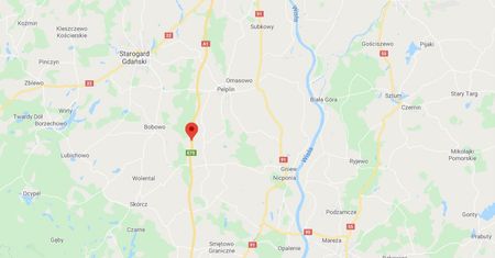 Wypadek na A1. Ranni po zderzeniu dwóch samochodów z łosiem