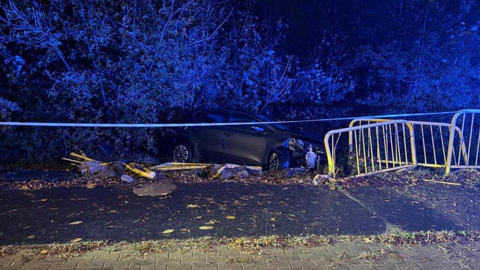 Samochód osobowy wjeżdżający w pobliżu ogrodzenia, otoczony przez zarośla, w ciemnej scenerii nocnej.