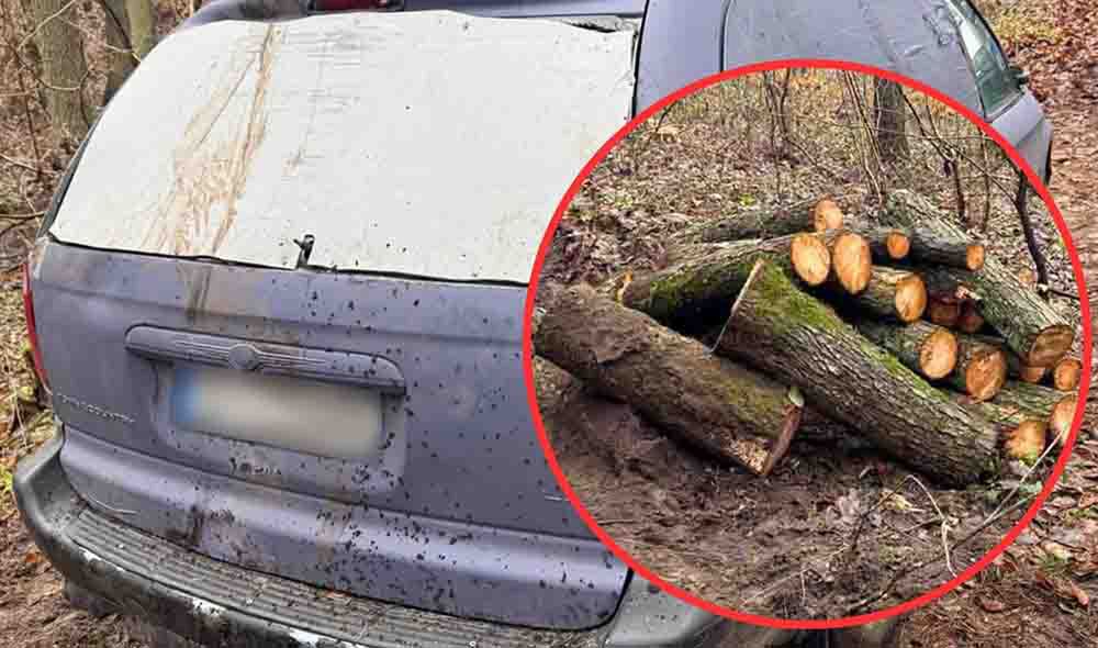 Drezdenko: Pechowa kradzież drewna z lasu. Przeładowany samochód ugrzązł w błocie