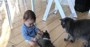 National Pet Day 2021 – Święto Zwierząt Domowych w USA