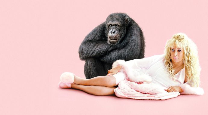 Szympans, moja miłość