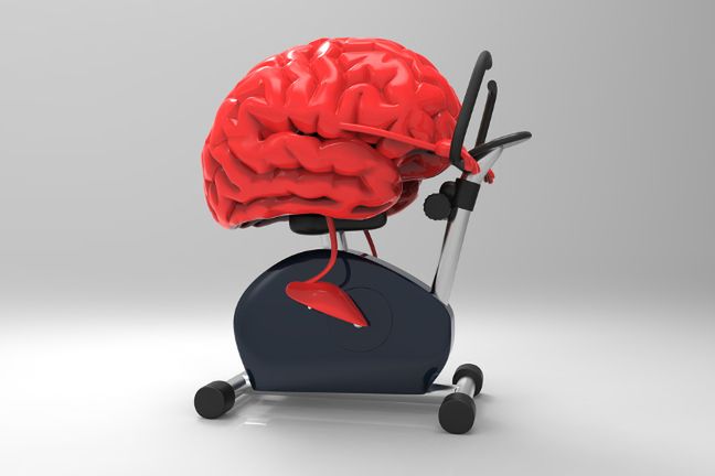 Jazda na rowerze to najlepszy sport dla uczniów, studentów oraz wszystkich pracowników umysłowych, ponieważ zwiększa koncentrację i ułatwia zapamiętywanie