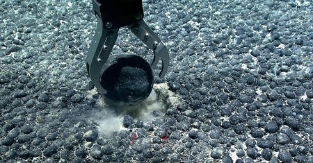 4 km pod powierzchnią oceanu. Naukowcy dokonali zdumiewającego odkrycia