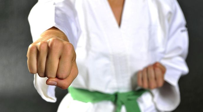 Karate: Champion of Champions - Tokio 2026