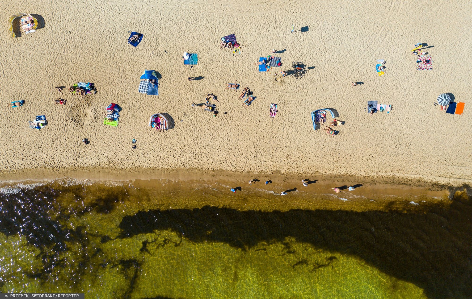 Molo i plaża w Gdańsku