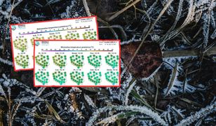 Chwilowe ocieplenie. Szybko jednak nadejdą przymrozki