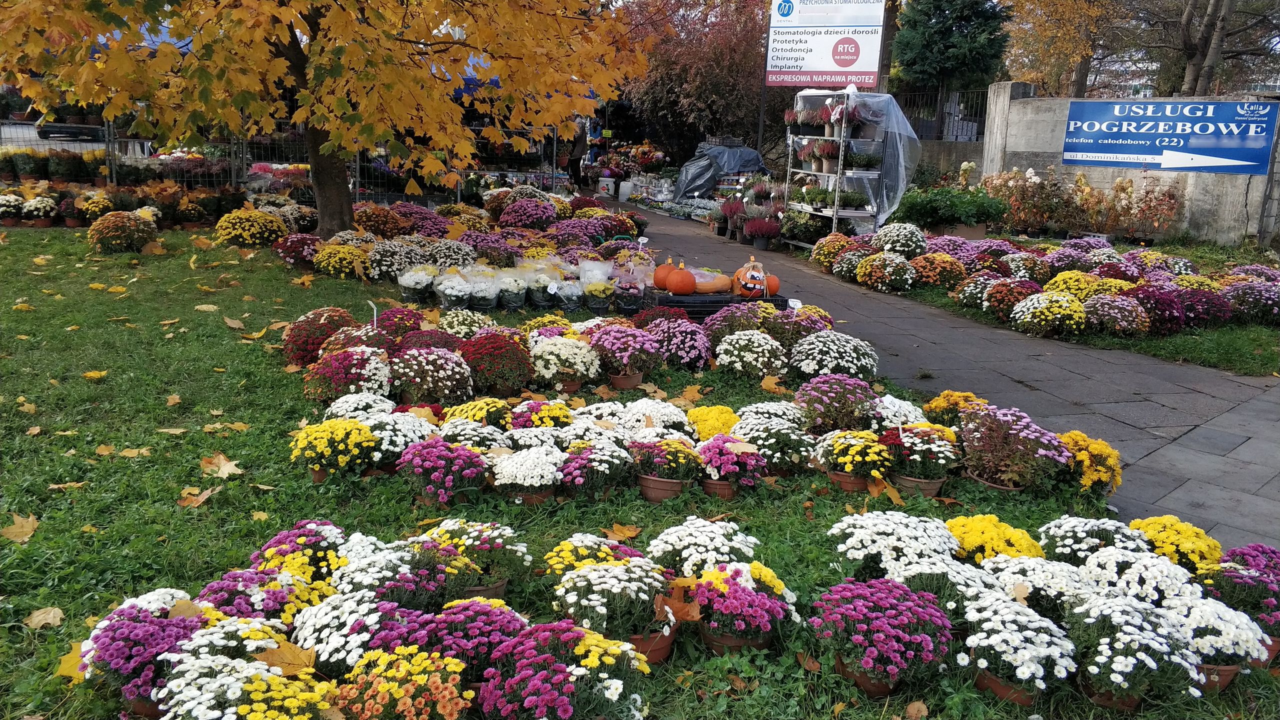 Zdjęcie przedstawia stoisko z kwiatami