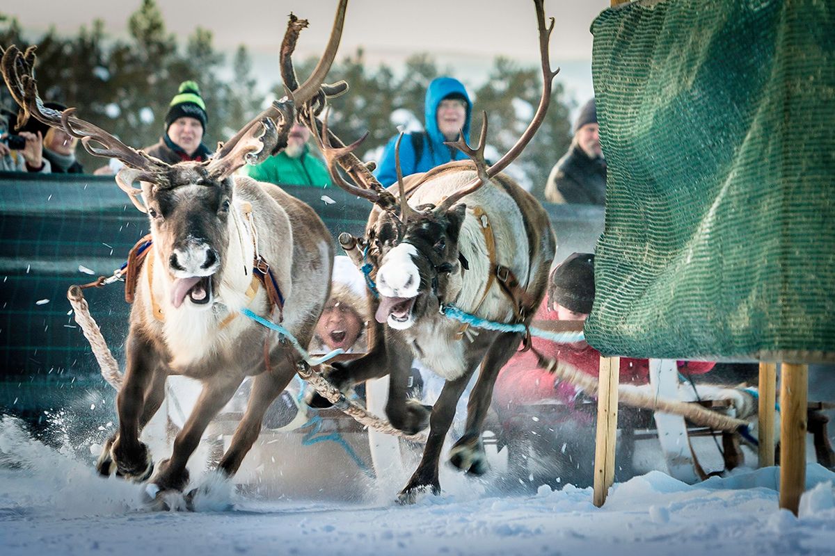 Najlepsze fotografie podróżnicze konkursu Travel Photographer of the Year 2016 wprawiają w zachwyt i inspirują 17
