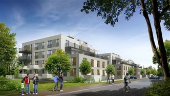 Zamiast dopłat do kredytów wyprzedaże mieszkań