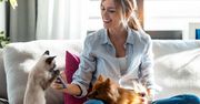 Petsitter w Polsce. Ile kosztuje opieka nad psem lub kotem i jak wybrać zaufaną osobę?
