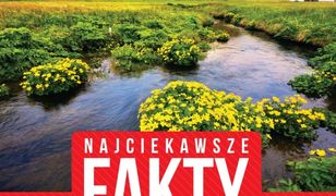 Najciekawsze fakty. Przyroda