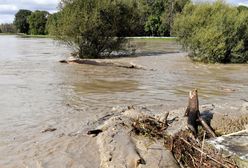 Wyłączyli oczyszczalnię ścieków. Wszystko płynie do Odry