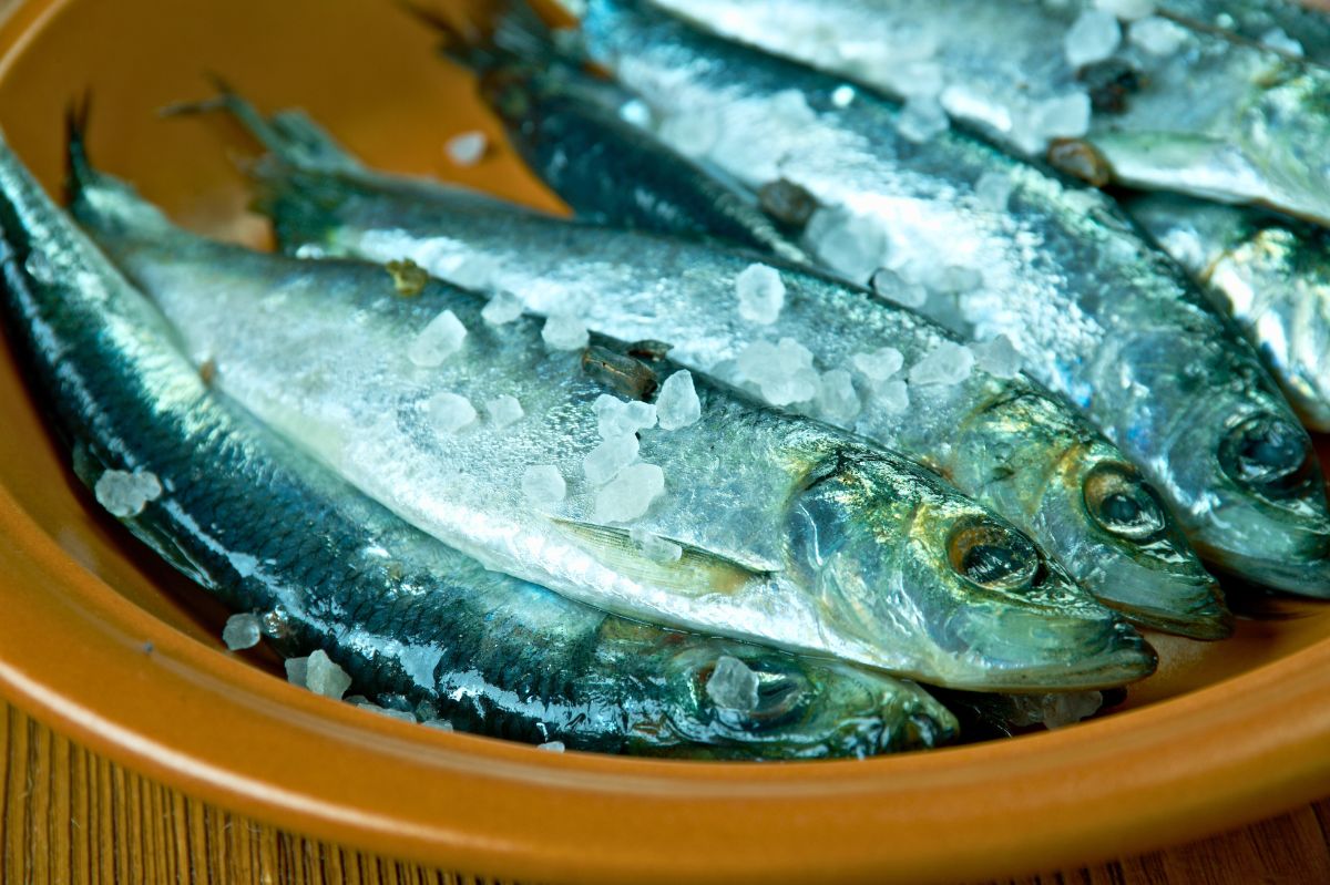 Świąteczny śledź w śmietanie to małe zło. Spróbuj szwedzkiego surströmming