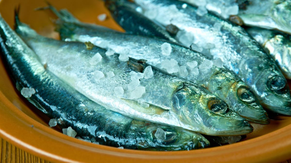 Ten śledź to rarytas dla osób o mocnych nerwach