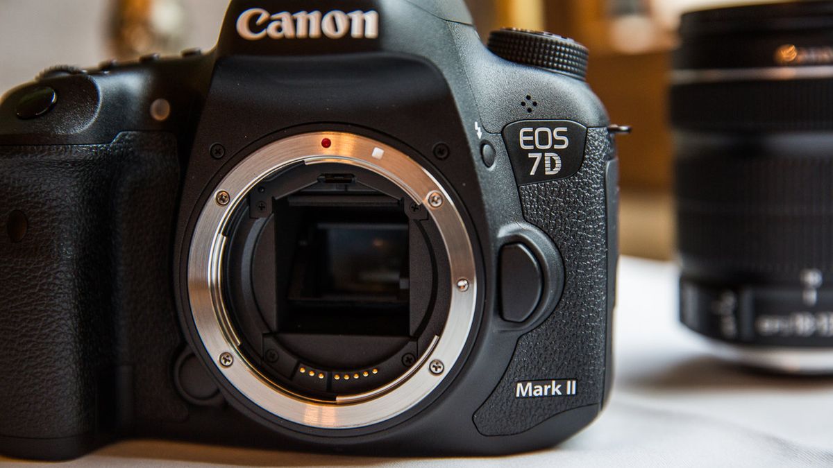 Koszmar fotografa – tak umiera migawka w Canonie EOS 7D Mark II 1