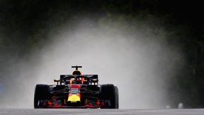Pech nie opuszcza Daniela Ricciardo. "To nie był problem z silnikiem"