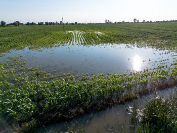 Podtopienia zniszczyły pola i domy. Pierwsze zasiłki już wypłacone