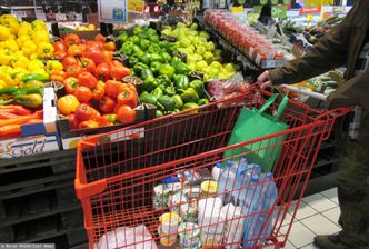 60 gr za kilogram. Producenci załamani. "Nie ma chętnych do skupu"