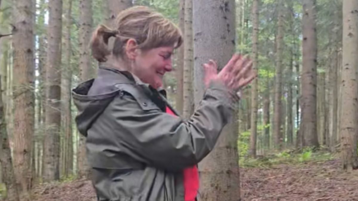 Pojawiły się pierwsze borowiki ceglastopore.