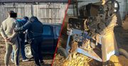 Weszli na prywatną posesję. Gospodarstwo rolne skrywało tajemnicę