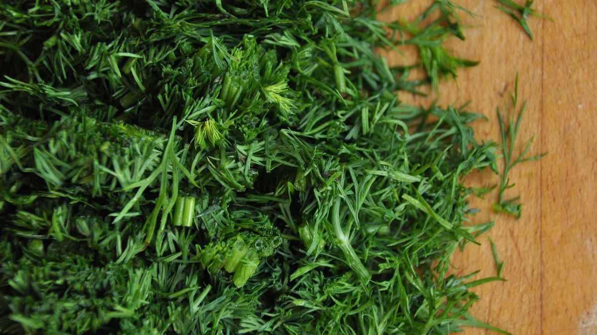 Egg cutlets with dill and spices. Delicious vegetarian dinner dish.
Egg cutlets with dill and spices. Delicious vegetarian dinner dish.
Radoslaw Kozik