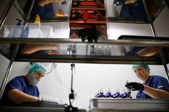 Tak wygląda biznes CBD. "Sprzedaż rośnie"